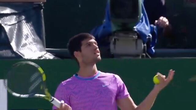 Partido de Indian Wells se suspendió por brutal invasión de abejas