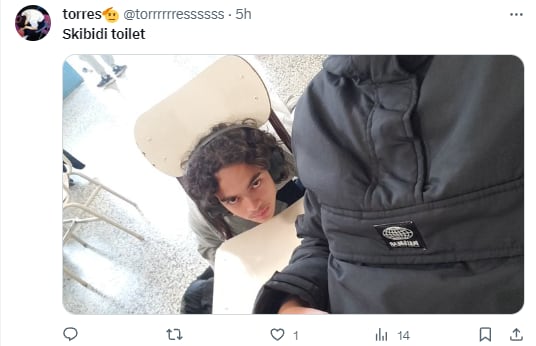 Memes por el Skibidi toilet disfraz