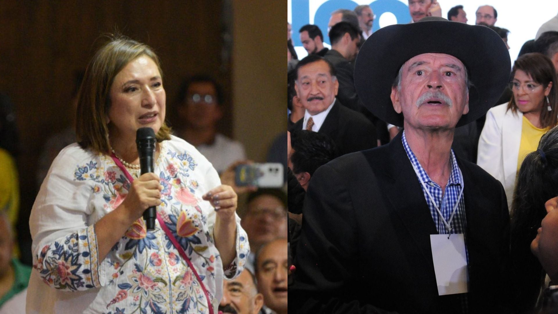 Xóchitl Gálvez, Vicente Fox