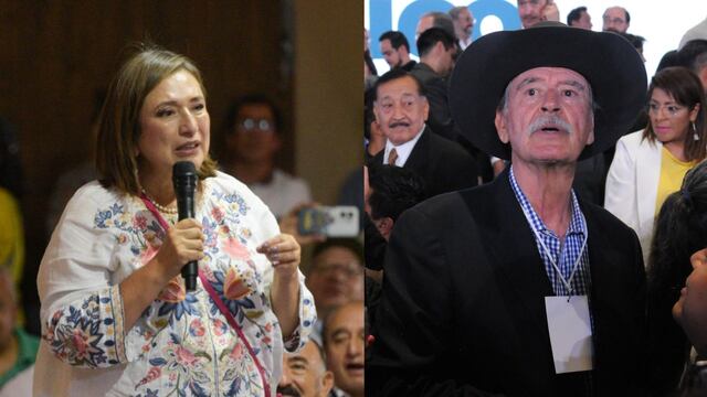 Xóchitl Gálvez, Vicente Fox
