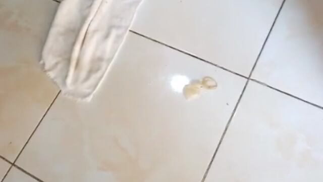 habitación de hotel de paso