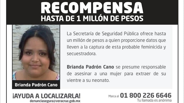 Se busca