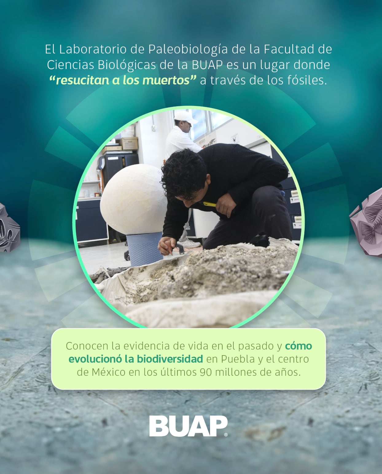 BUAP analiza fósiles marinos, mamuts y polen para reconstruir la historia natural