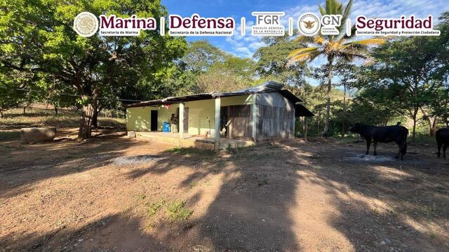 Marina y Gabinete de Seguridad desmantelan laboratorios de drogas en Guerrero.