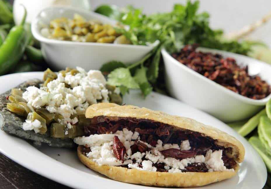 Platillos cocinados con insectos comestibles