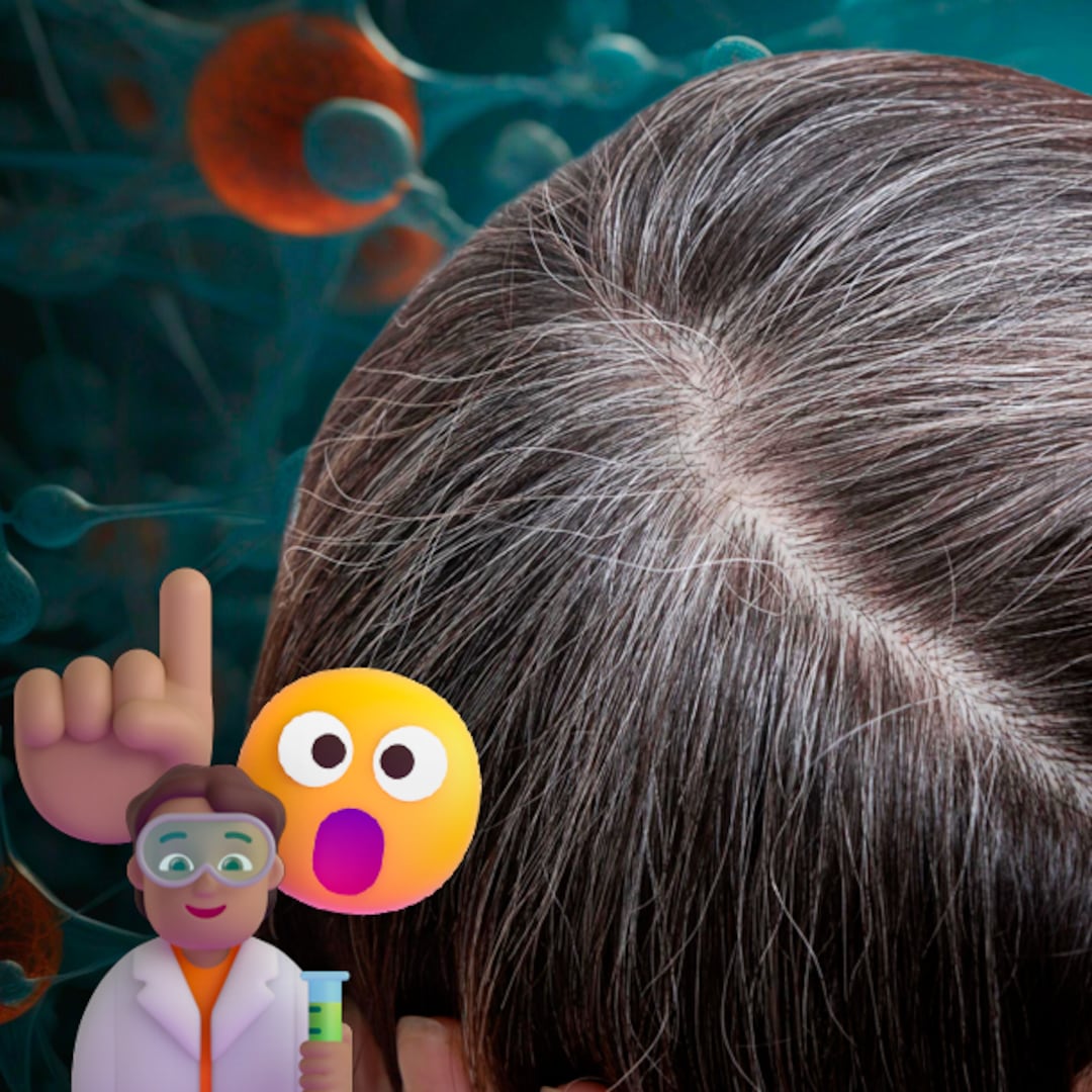 El inesperado hallazgo sobre las canas: podrían proteger del cáncer, según un estudio