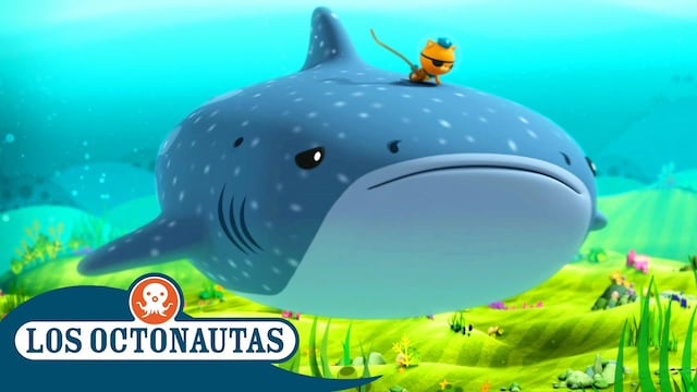Los Octonautas y el enorme tiburón ballena: Capítulo completo en YouTube y español para celebrar el Día Internacional del Tiburón Ballena