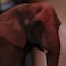 ¿Qué pasó con la elefante Annie? Confirman su llegada al Zoológico de San Juan de Aragón