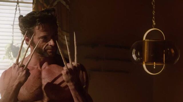 Wolverine