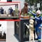 Secretaría de Marina recuerda a Frida, perrita rescatista, durante el Desfile Militar 2023; presentan a Maya