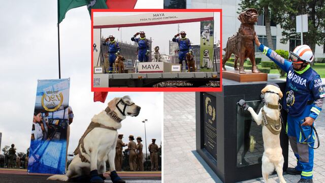 Secretaría de Marina recuerda a Frida