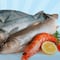 Estos son los pescados y mariscos más baratos para la Cuaresma, según Profeco