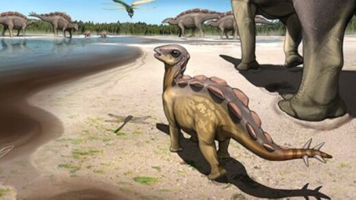 Encuentran huella pequeña de dinosaurio