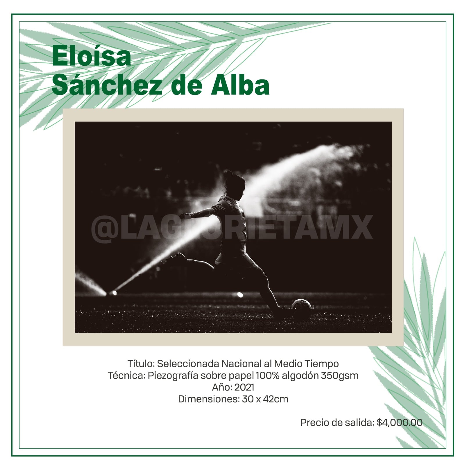 Una foto que se subastará