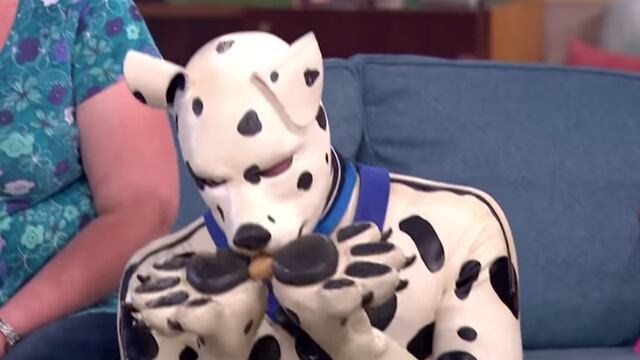 Hombre perro dálmata Tom Peters