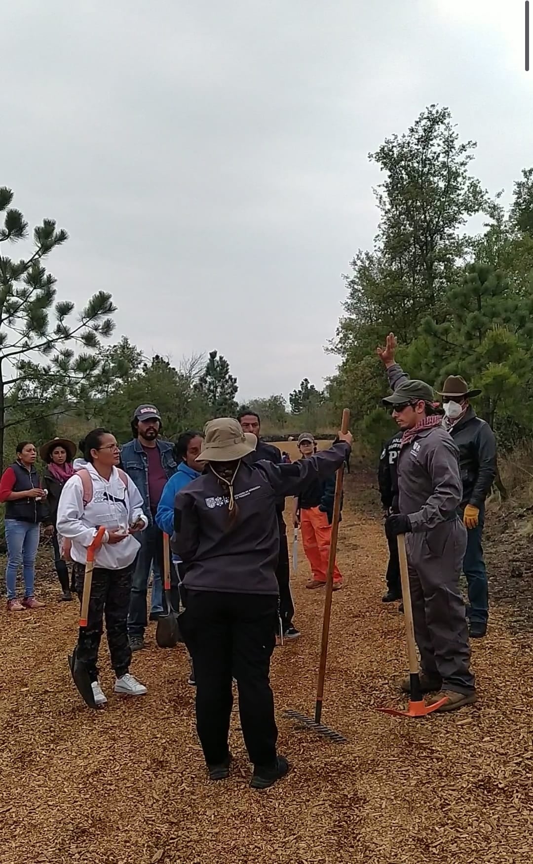 Jornada de búsqueda en el Ajusco
