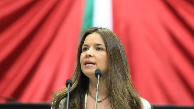 Mirza Flores, diputada de Movimiento Ciudadano