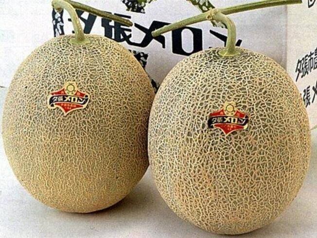 Este par de melones marcan el inicio de temporada.