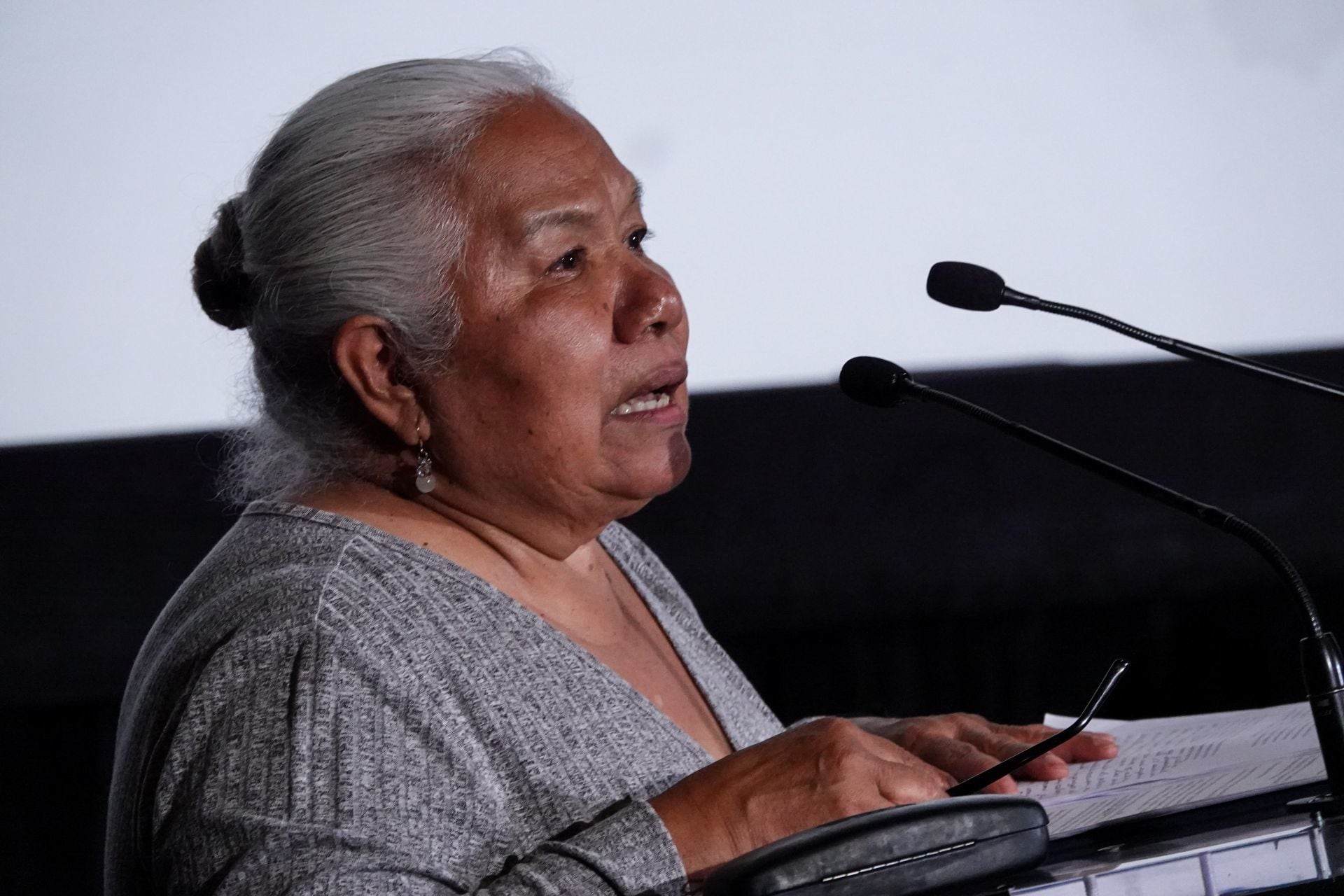 Irinea Buendía Cortés, madre de Mariana Lima Buendía y defensora de derechos humanos