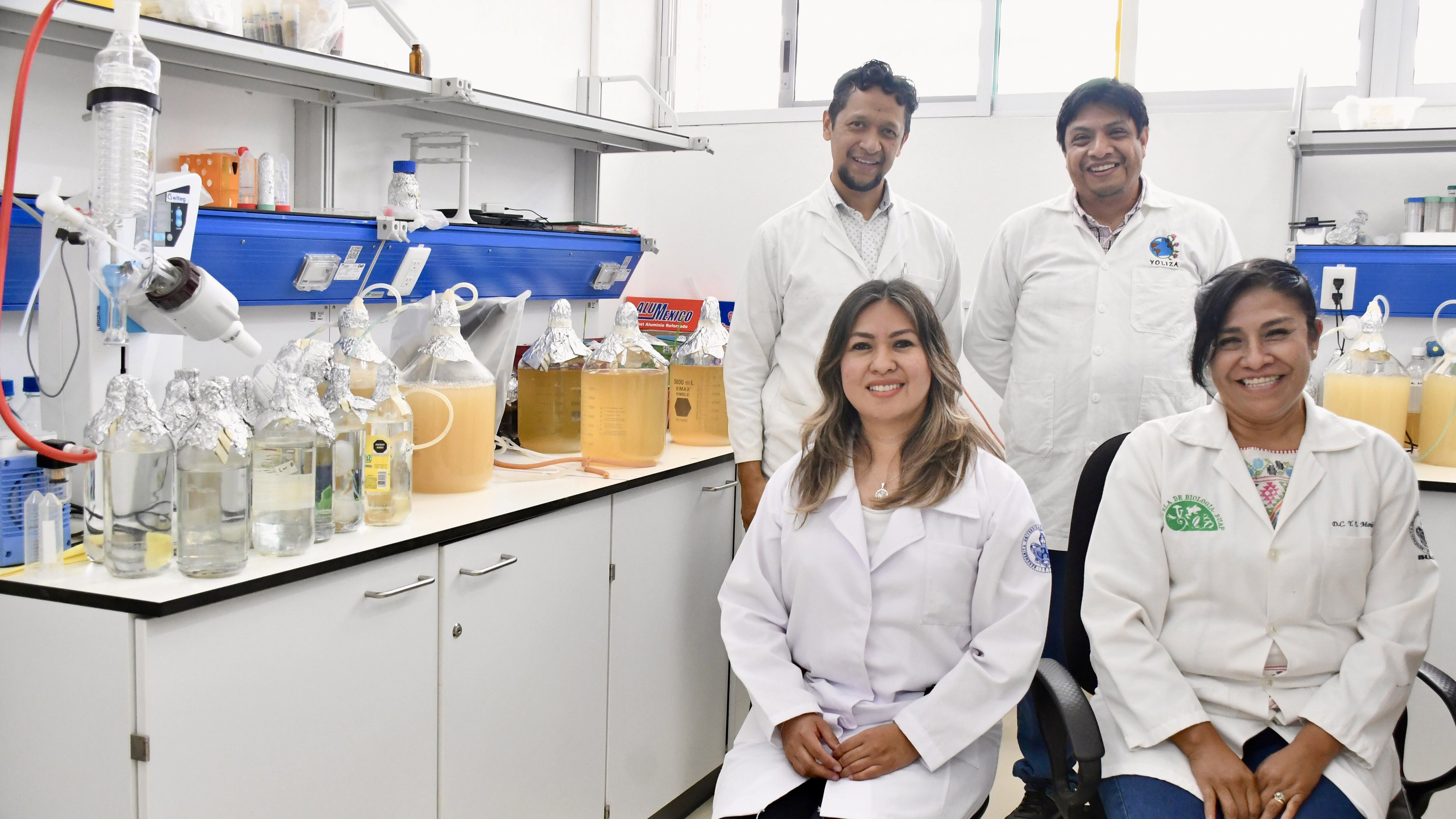 Inocrep: el inoculante de la BUAP que multiplica por seis el rendimiento de cultivos