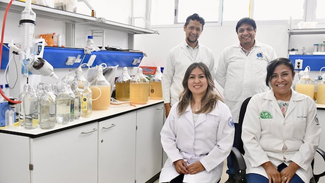 Investigadores de la BUAP desarrollan Inocrep, inoculante de segunda generación.