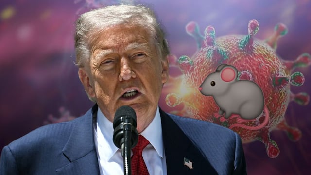 Trump descarta alarma por hantavirus ante posibles casos en Estados Unidos