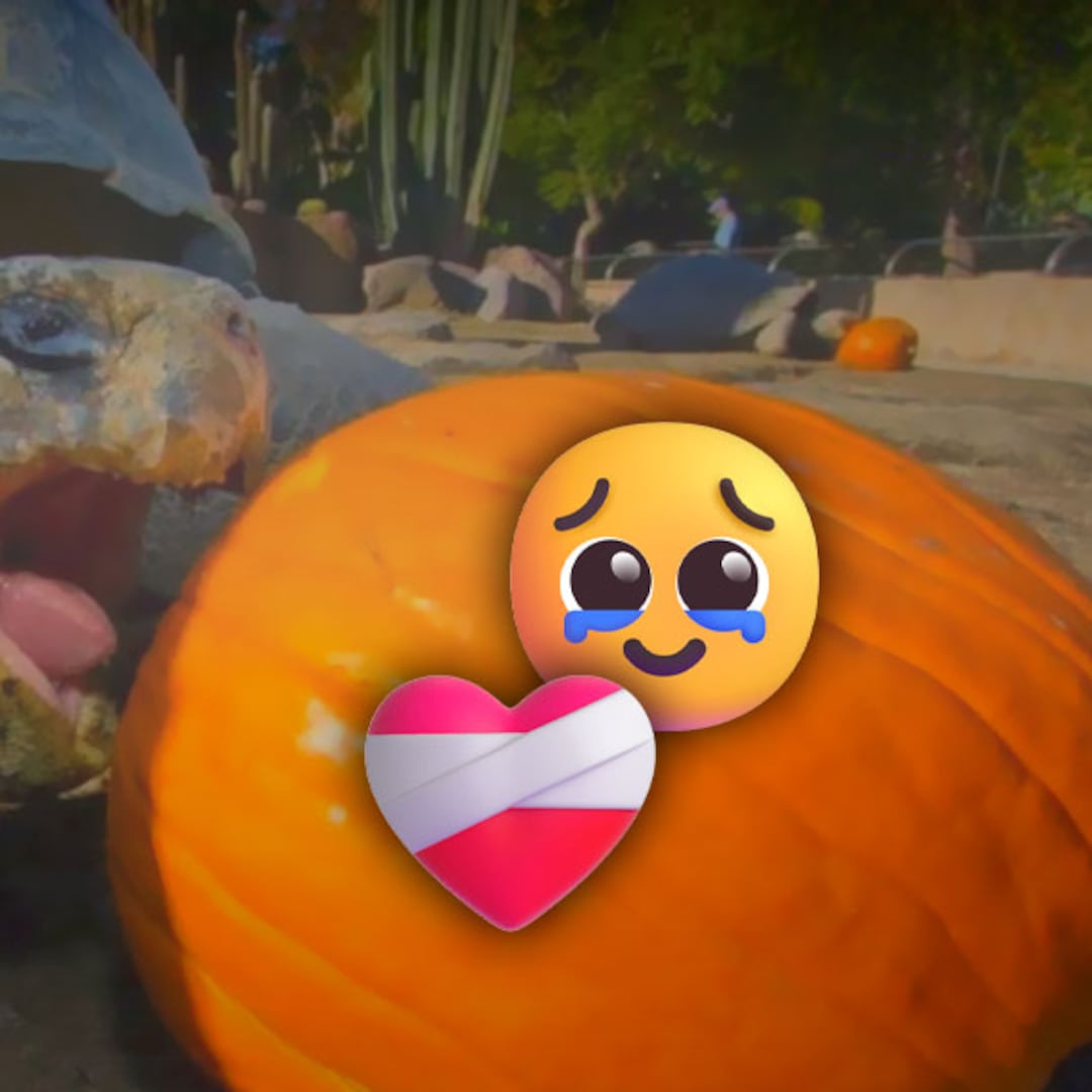 La historia de la tortuga de Galápagos de 141 años que murió en el zoológico de San Diego