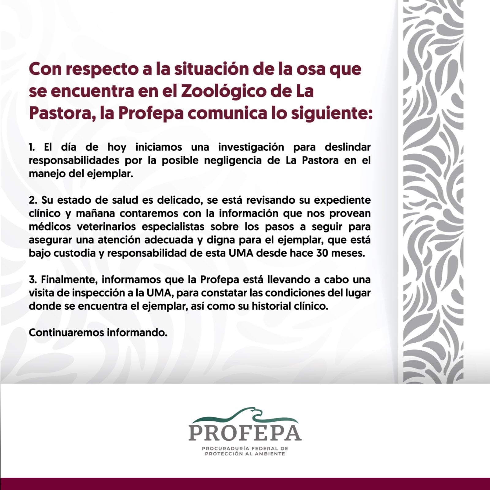 Comunicado de Profepa sobre el estado de salud de una osa en el Zoológico La Pastora