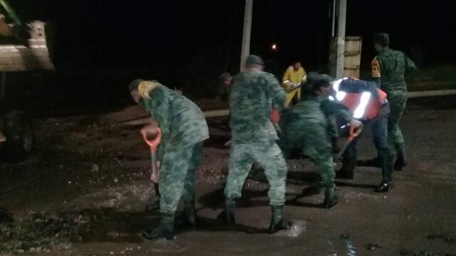 Elementos del Ejército. Aplicación del Plan DNIII.