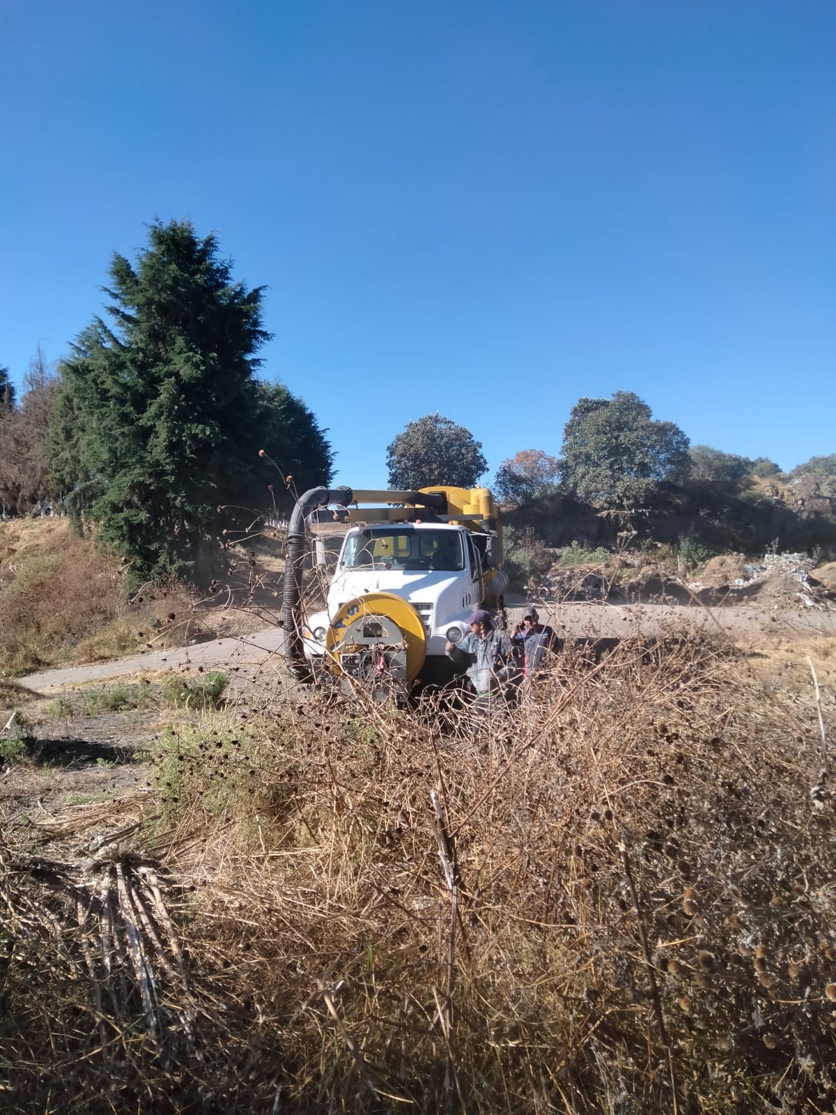 Perros hallados muertos en Amecameca