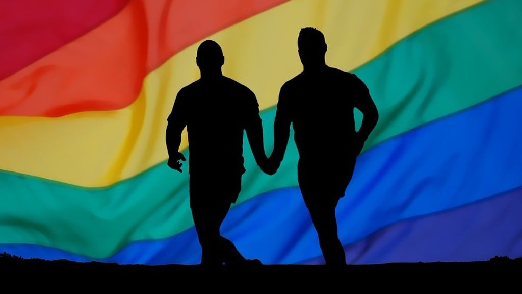 Pareja gay