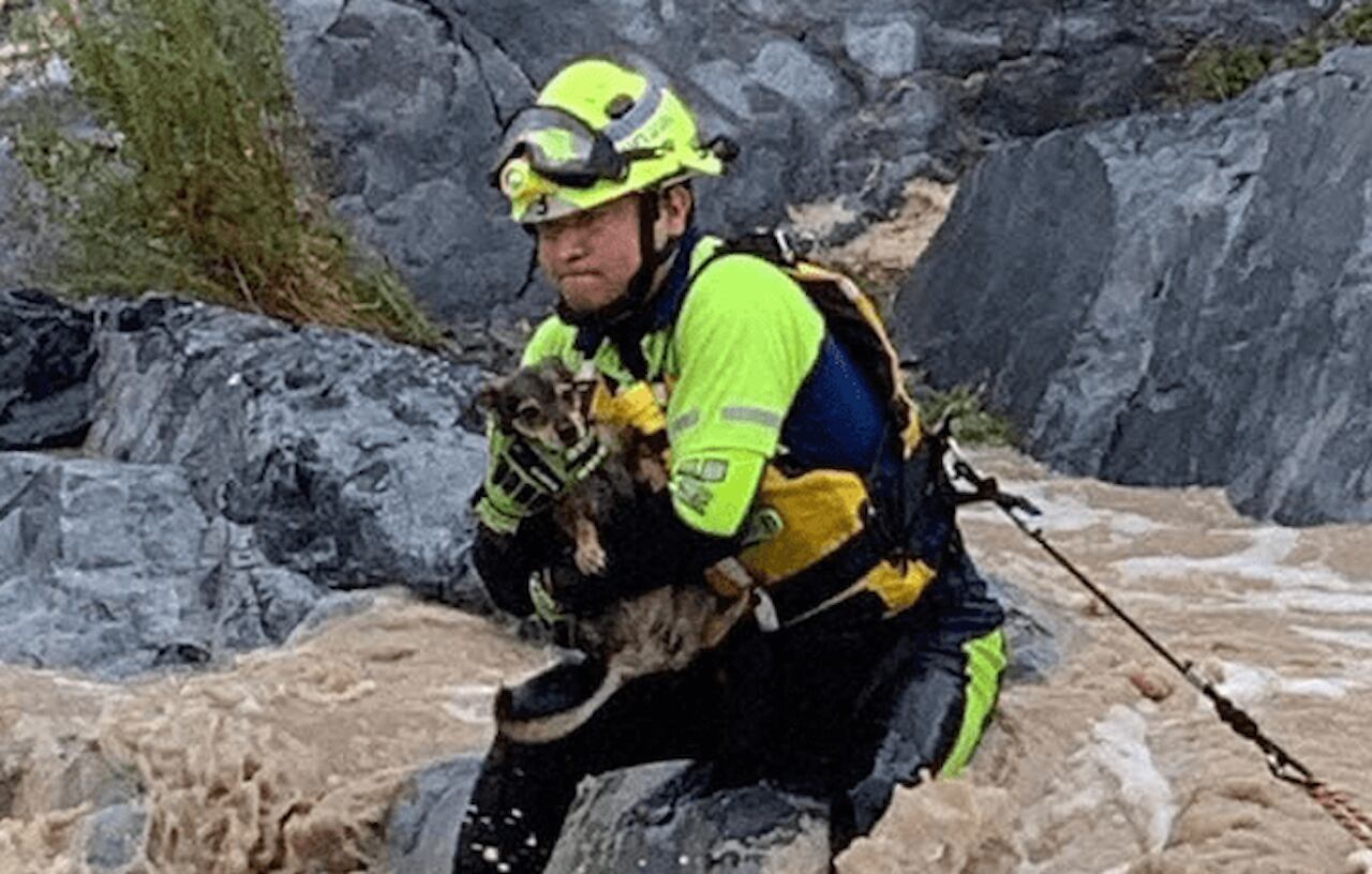 El perro fue rescatado luego de que su dueño también fuera sacado del lugar.