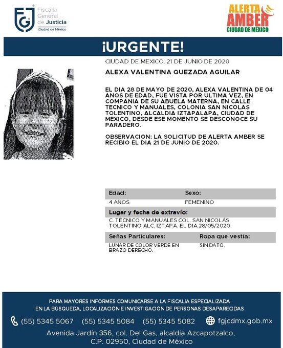 Ficha de búsqueda de Alexa.