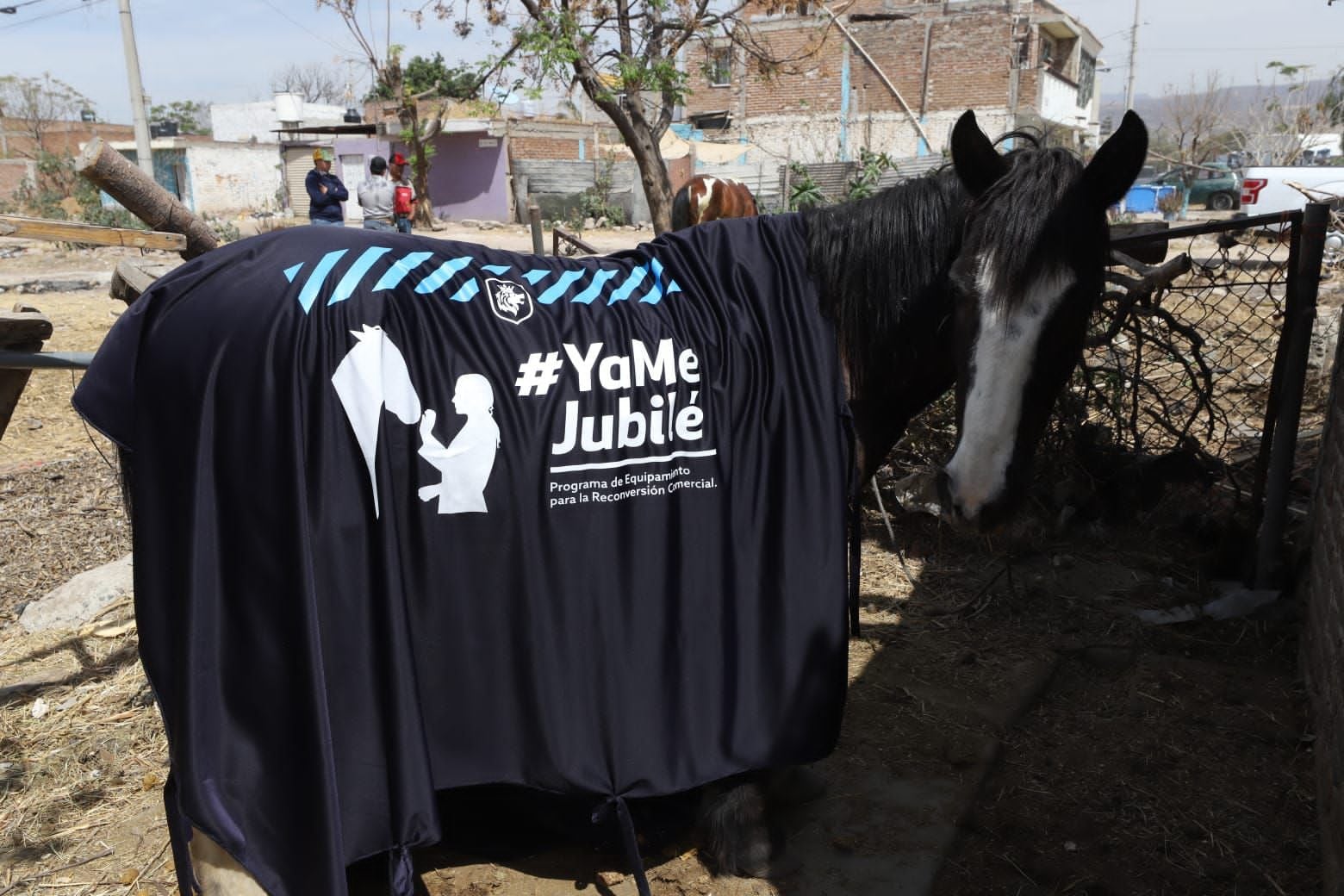 Cambian animales de arrastre por motos de carga en Guanajuato