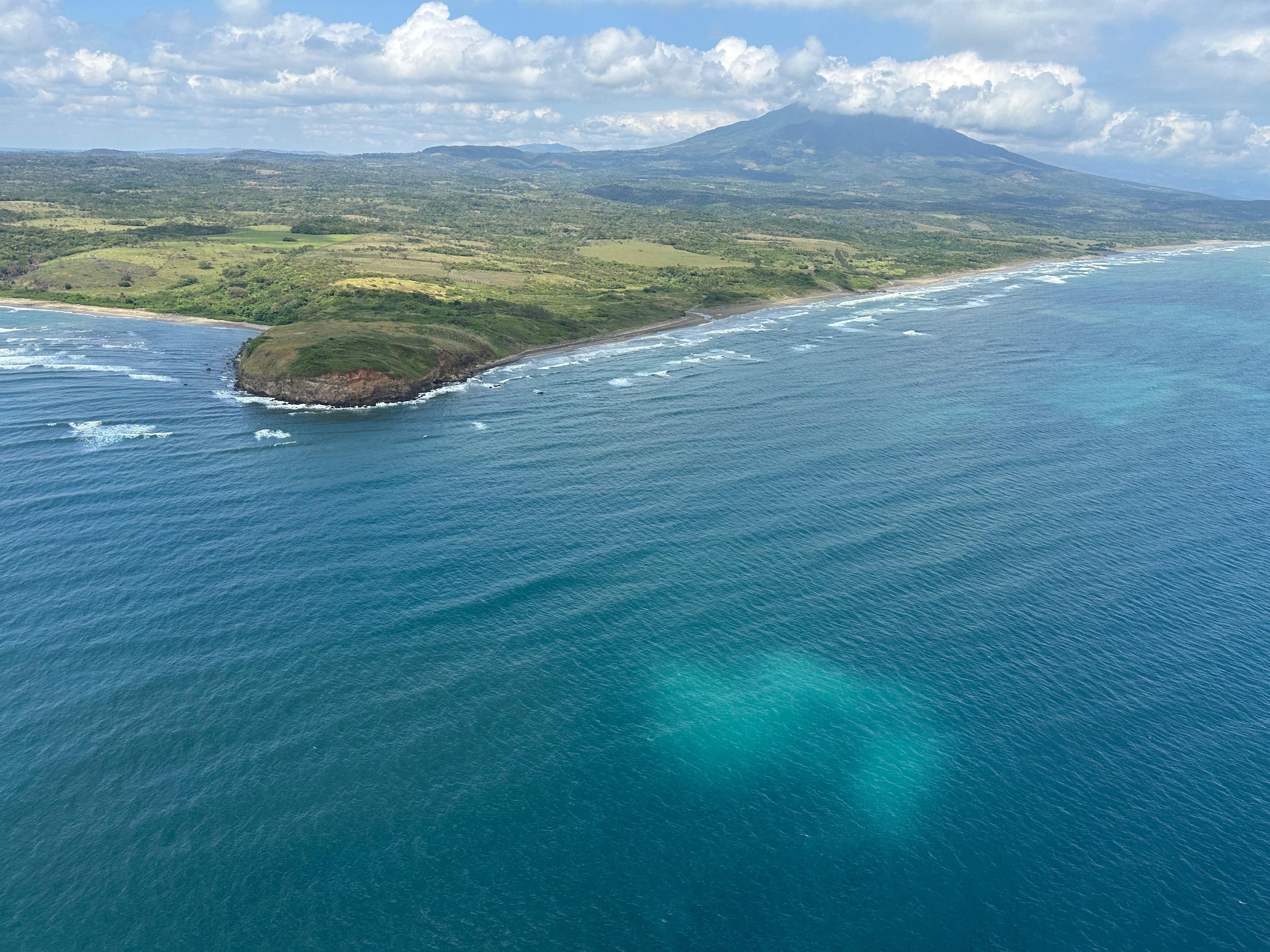 Arrecifes del Golfo siguen sin daños severos, afirma Bárcena
