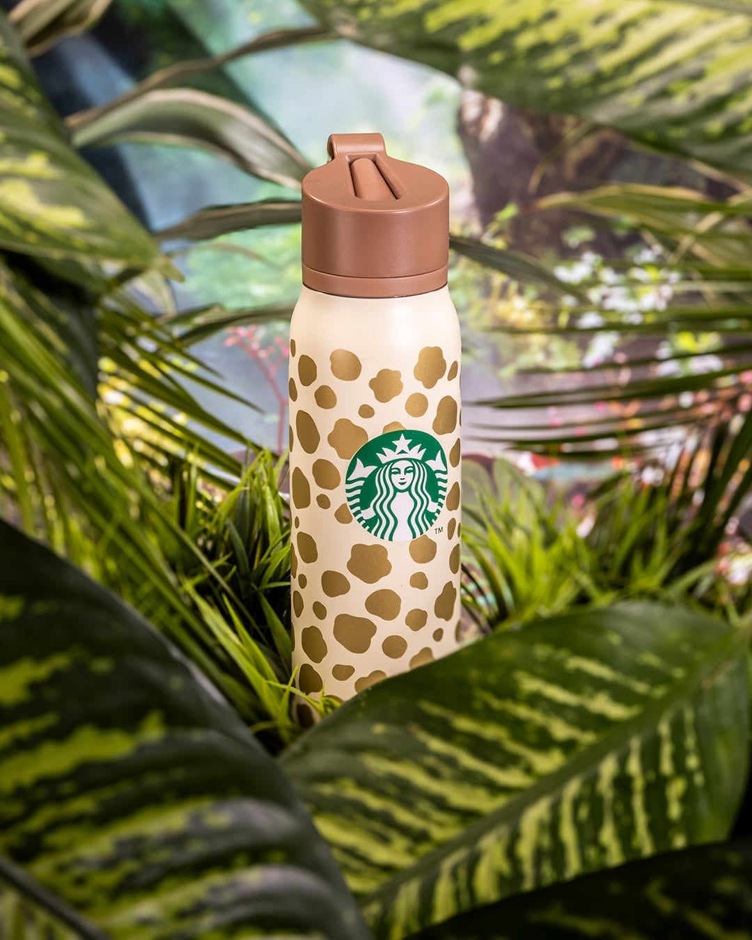 Starbucks Safari: Precio de la colección de termos y tazas que llegó a México