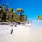 Pusieron a la venta una isla natural en Miami, a un precio inalcanzable; esconde una verdad