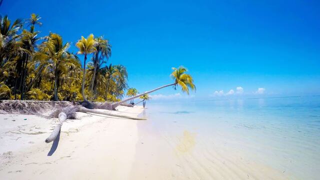 Pusieron a la venta una isla natural en Miami, a un precio inalcanzable; esconde una verdad