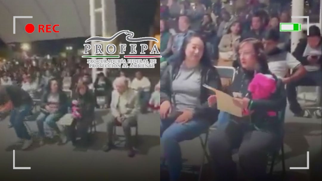 Profepa denuncia a regidora de MC en Jalisco por posesión ilegal de mono araña