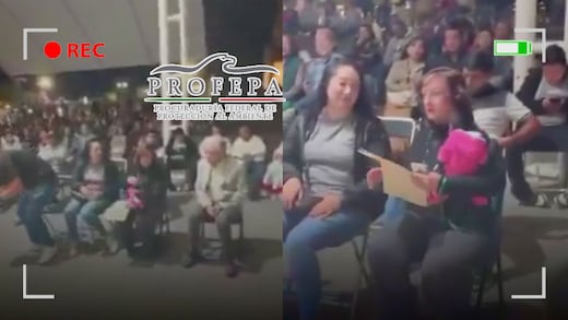 Profepa denuncia a regidora de MC en Jalisco por posesión ilegal de mono araña