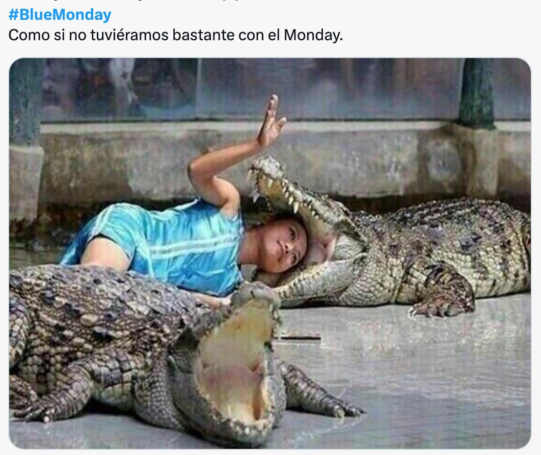 Este 15 de enero es el Blue Monday y ya desató los mejores memes