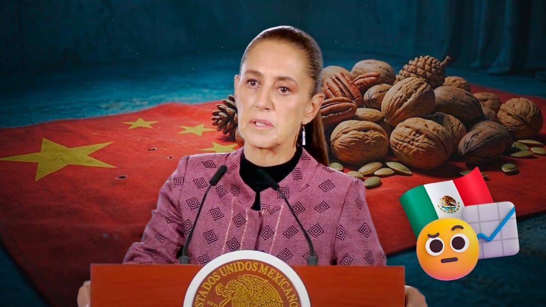 Sheinbaum aclara por qué China impuso arancel a la nuez pecana mexicana