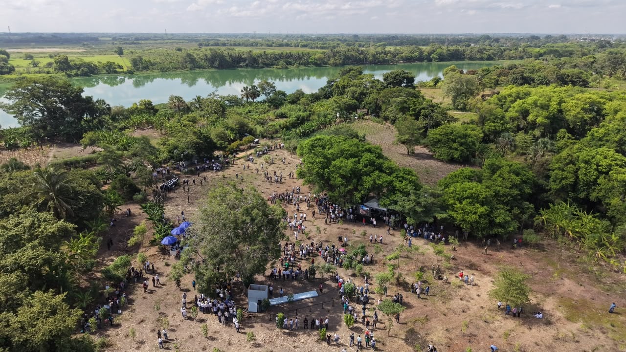 Tabasco sembrará 2.4 millones de árboles en nueva jornada de reforestación.