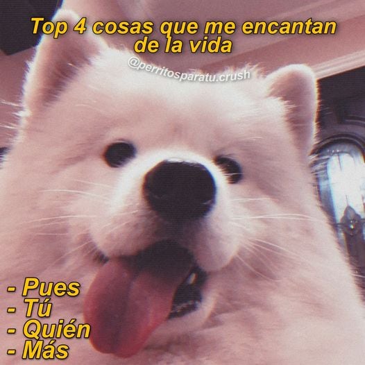 10 frases para ligar por Instagram