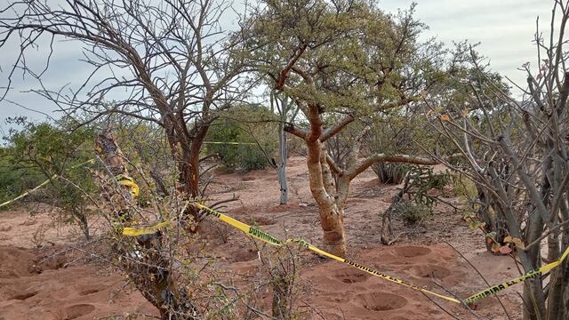 Madres buscadoras de Baja California Sur