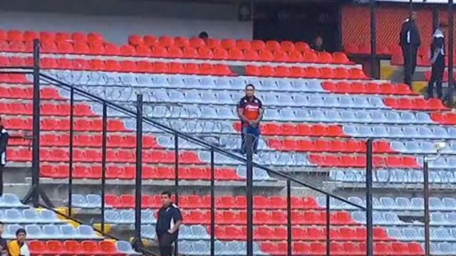 Solitario fan de Xolos