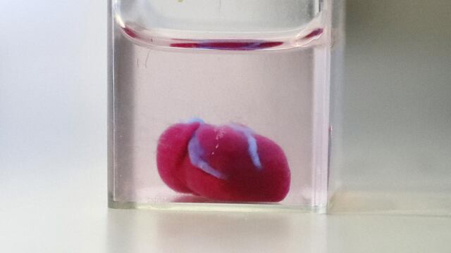 Una impresión 3D de corazón con tejido humano en Tel Aviv.