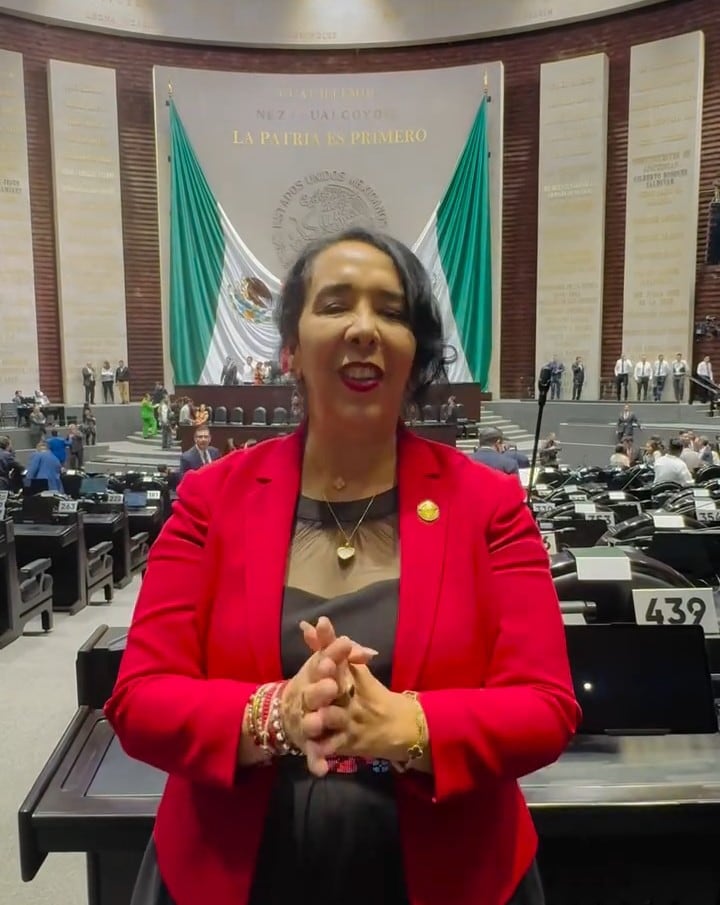 ¿Quién es Hilda Araceli Brown Figueredo? Diputada federal de Morena vinculada a La Mayiza