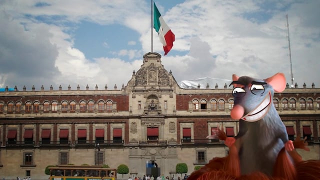 Fumigarán ratas y cucarachas de Palacio Nacional