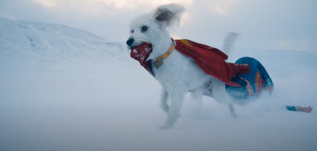 Krypto en Superman